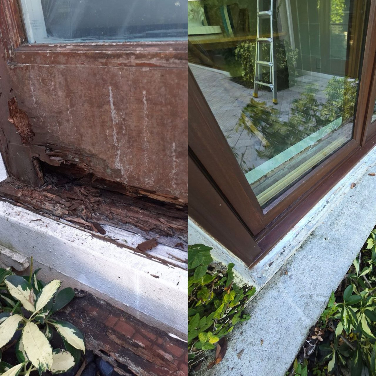 Close-up of rotted wood window corner — wood window restoration South Florida